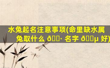 水兔起名注意事项(命里缺水属兔取什么 🕷 名字 🌵 好)